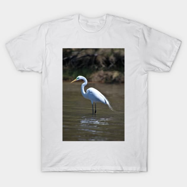 Green eyed Egret T-Shirt by searchlight
